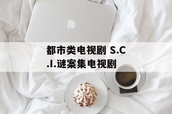 都市类电视剧 S.C.I.谜案集电视剧-第1张图片-