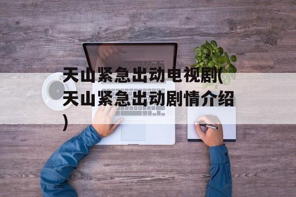 天山紧急出动电视剧(天山紧急出动剧情介绍)-第1张图片-