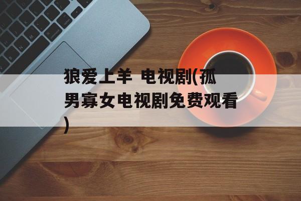 狼爱上羊 电视剧(孤男寡女电视剧免费观看)-第1张图片-