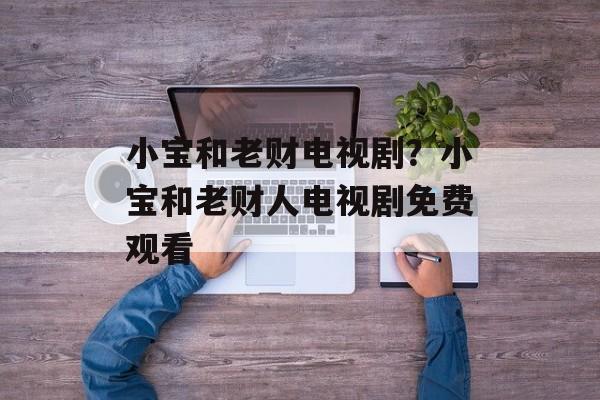 小宝和老财电视剧？小宝和老财人电视剧免费观看-第1张图片-