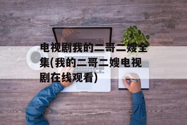 电视剧我的二哥二嫂全集(我的二哥二嫂电视剧在线观看)-第1张图片-
