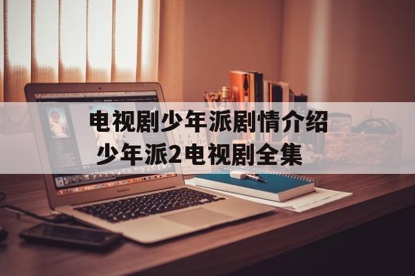 电视剧少年派剧情介绍 少年派2电视剧全集-第1张图片-