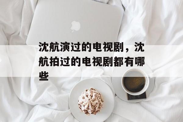 沈航演过的电视剧，沈航拍过的电视剧都有哪些-第1张图片-
