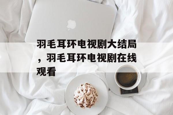 羽毛耳环电视剧大结局，羽毛耳环电视剧在线观看-第1张图片-
