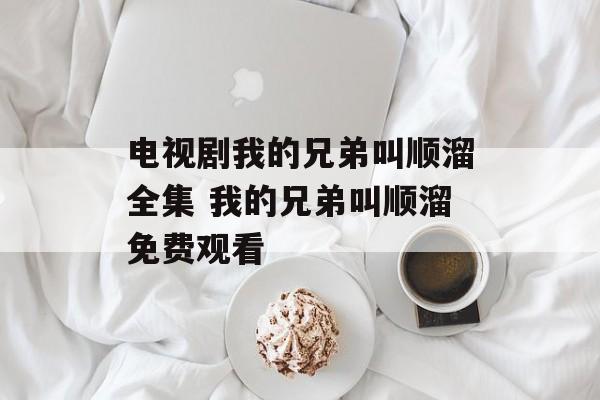 电视剧我的兄弟叫顺溜全集 我的兄弟叫顺溜免费观看-第1张图片-