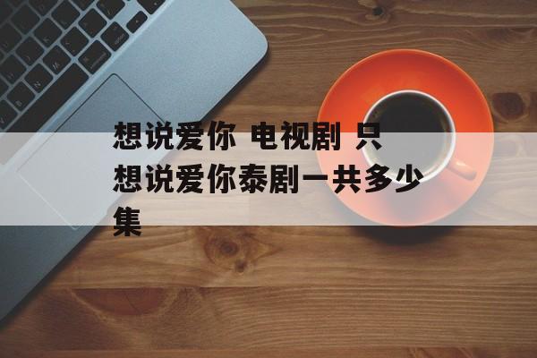 想说爱你 电视剧 只想说爱你泰剧一共多少集-第1张图片-