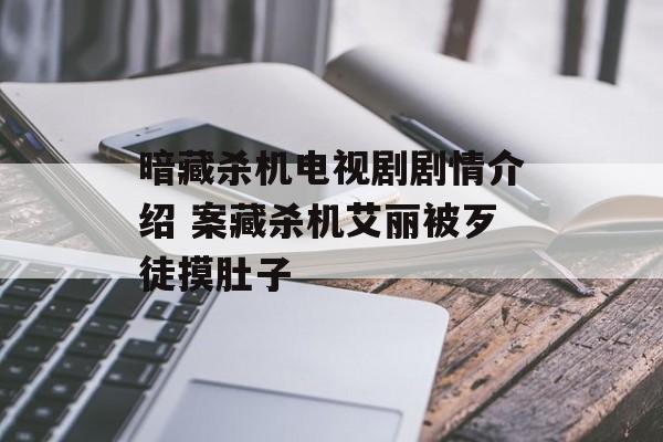 暗藏杀机电视剧剧情介绍 案藏杀机艾丽被歹徒摸肚子-第1张图片-