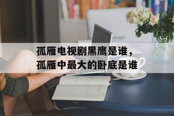 孤雁电视剧黑鹰是谁，孤雁中最大的卧底是谁-第1张图片-