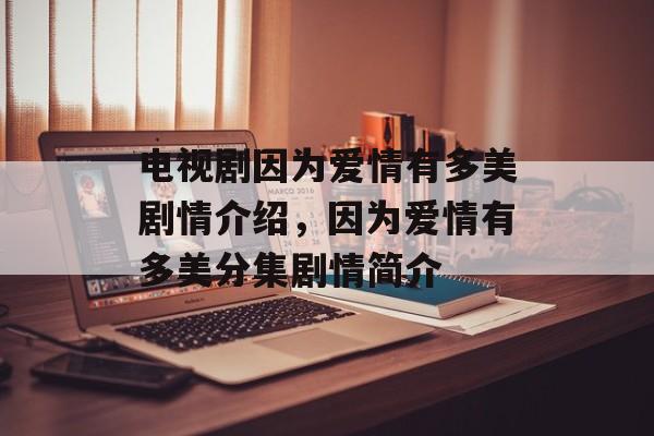 电视剧因为爱情有多美剧情介绍，因为爱情有多美分集剧情简介-第1张图片-