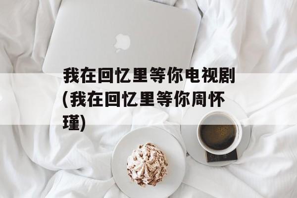 我在回忆里等你电视剧(我在回忆里等你周怀瑾)-第1张图片-