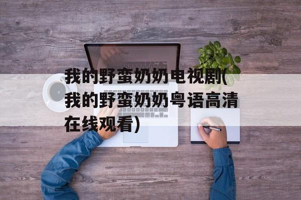 我的野蛮奶奶电视剧(我的野蛮奶奶粤语高清在线观看)-第1张图片-