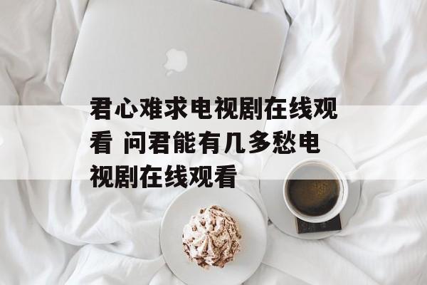 君心难求电视剧在线观看 问君能有几多愁电视剧在线观看-第1张图片-