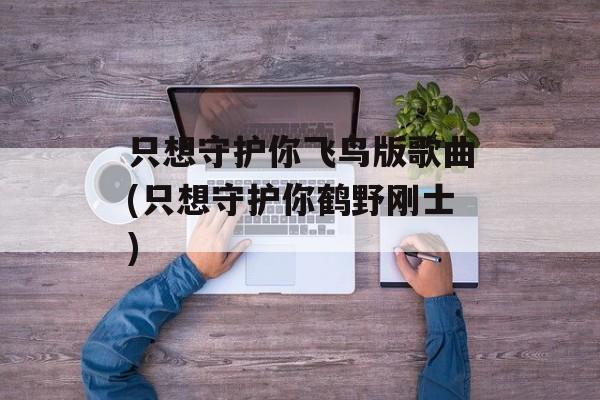 只想守护你飞鸟版歌曲(只想守护你鹤野刚士)-第1张图片-