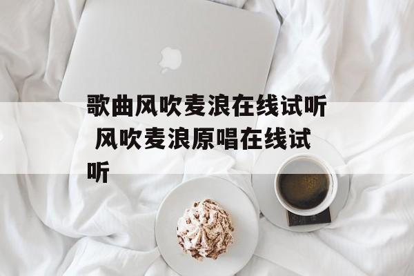 歌曲风吹麦浪在线试听 风吹麦浪原唱在线试听-第1张图片-