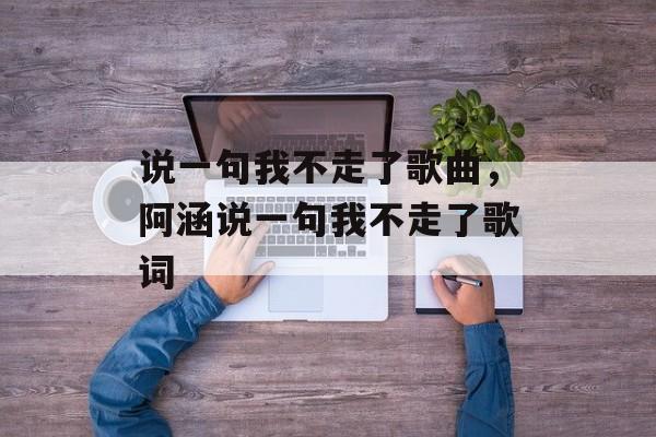 说一句我不走了歌曲，阿涵说一句我不走了歌词-第1张图片-