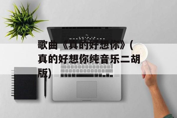 歌曲《真的好想你》(真的好想你纯音乐二胡版)-第1张图片-