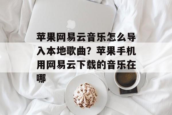 苹果网易云音乐怎么导入本地歌曲？苹果手机用网易云下载的音乐在哪-第1张图片-