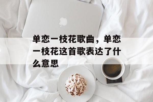单恋一枝花歌曲，单恋一枝花这首歌表达了什么意思-第1张图片-