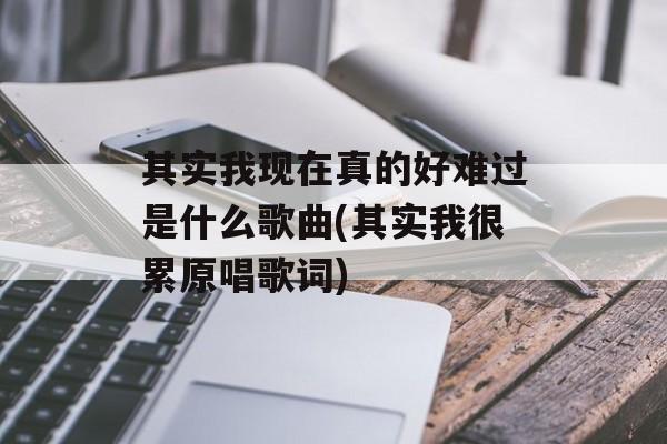 其实我现在真的好难过是什么歌曲(其实我很累原唱歌词)-第1张图片-