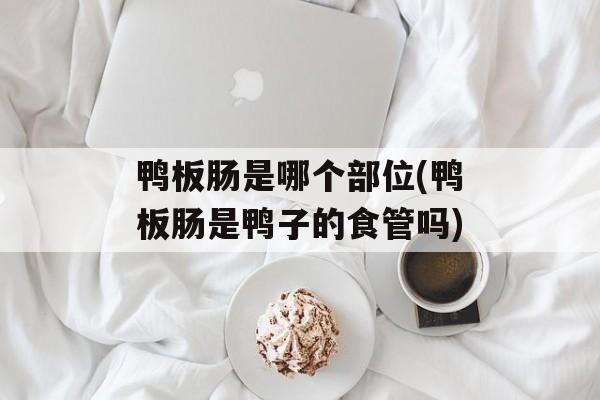 鸭板肠是哪个部位(鸭板肠是鸭子的食管吗)-第1张图片-