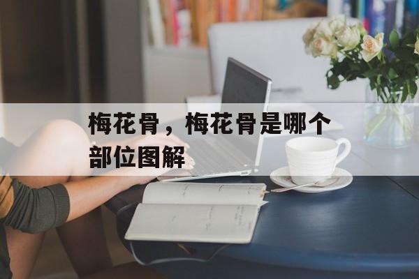 梅花骨，梅花骨是哪个部位图解-第1张图片-