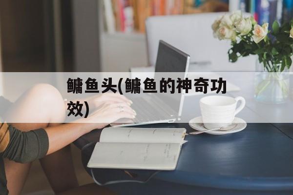 鳙鱼头(鳙鱼的神奇功效)-第1张图片-
