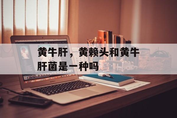 黄牛肝，黄赖头和黄牛肝菌是一种吗-第1张图片-
