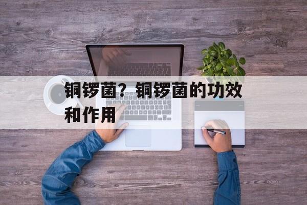铜锣菌？铜锣菌的功效和作用-第1张图片-