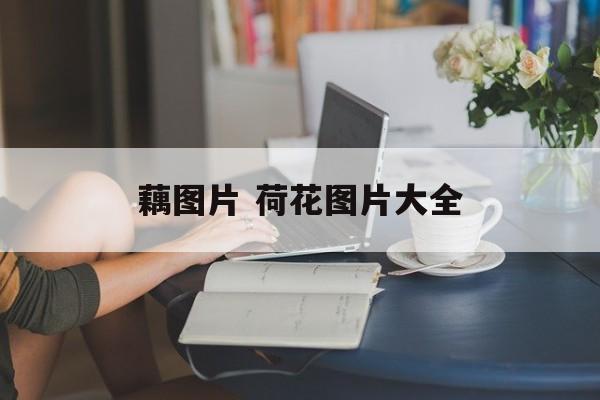藕图片 荷花图片大全-第1张图片-