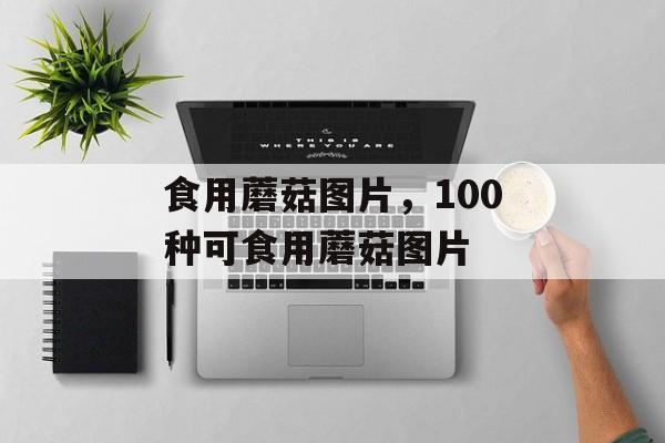 食用蘑菇图片，100种可食用蘑菇图片-第1张图片-