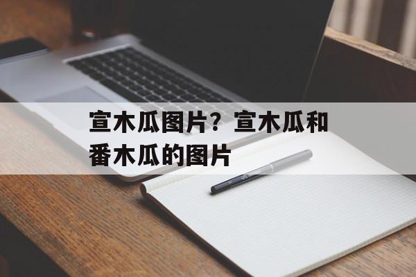 宣木瓜图片？宣木瓜和番木瓜的图片-第1张图片-
