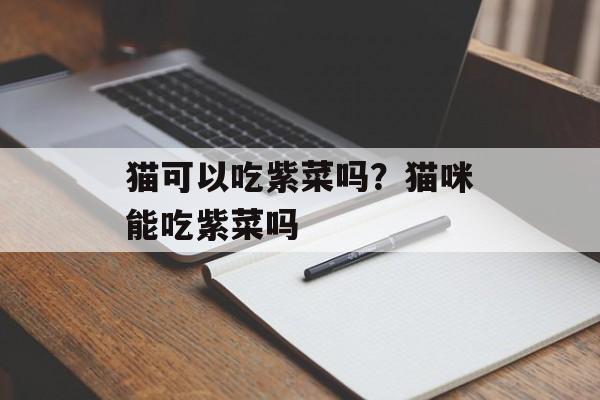 猫可以吃紫菜吗？猫咪能吃紫菜吗-第1张图片-