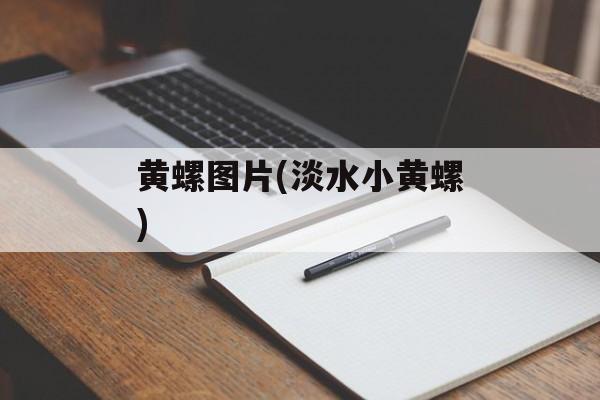 黄螺图片(淡水小黄螺)-第1张图片-