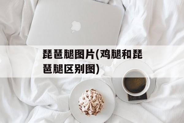琵琶腿图片(鸡腿和琵琶腿区别图)-第1张图片-