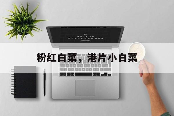 粉红白菜，港片小白菜-第1张图片-