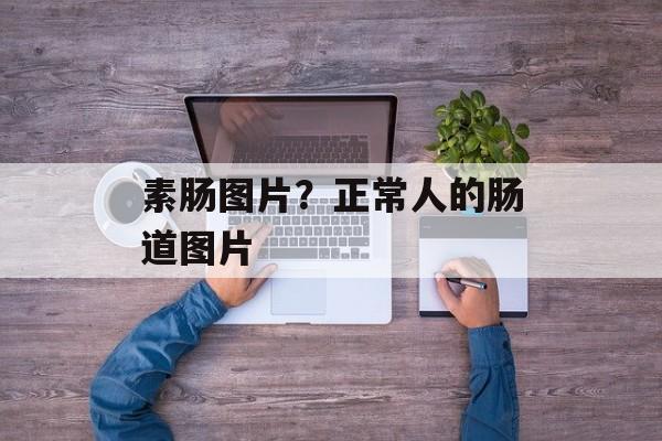 素肠图片？正常人的肠道图片-第1张图片-