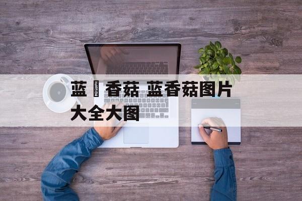 蓝廋香菇 蓝香菇图片大全大图-第1张图片-