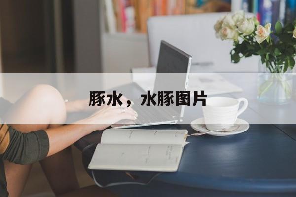 豚水，水豚图片-第1张图片-