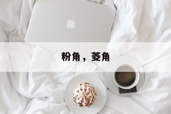 粉角，菱角-第1张图片-