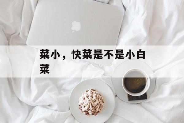 菜小，快菜是不是小白菜-第1张图片-