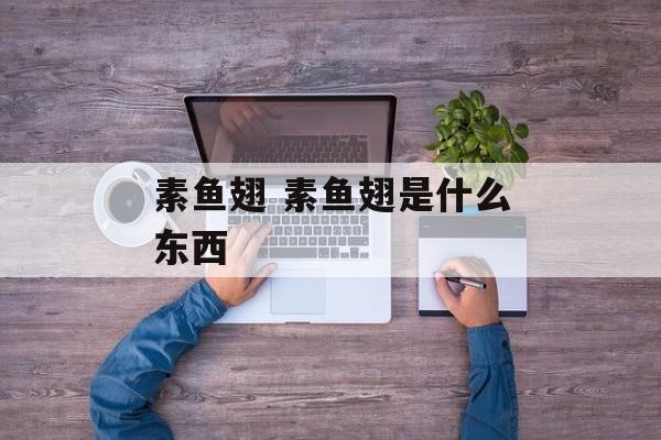 素鱼翅 素鱼翅是什么东西-第1张图片-