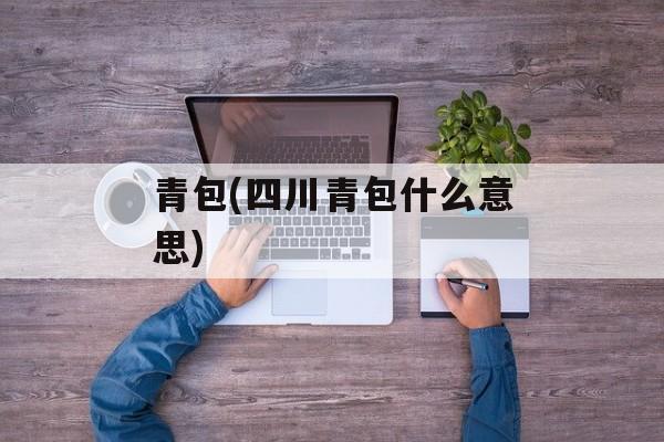 青包(四川青包什么意思)-第1张图片-