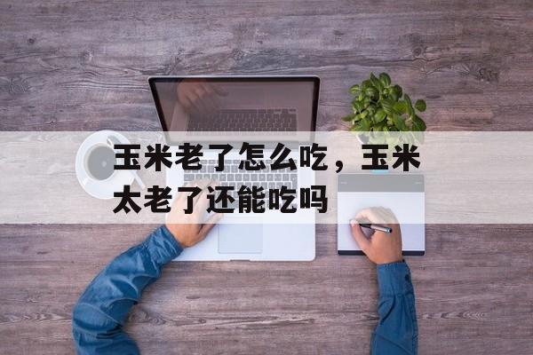 玉米老了怎么吃，玉米太老了还能吃吗-第1张图片-