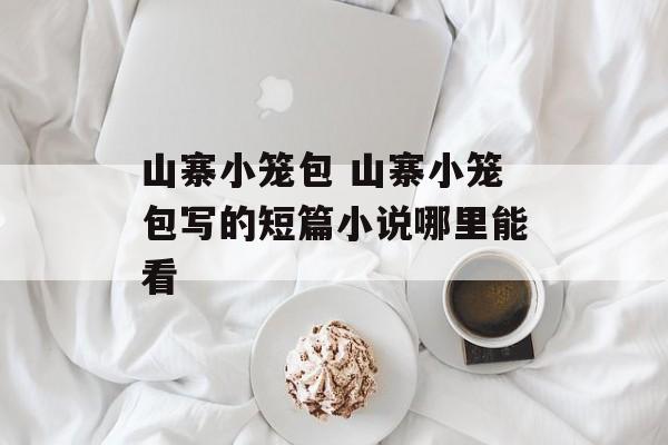 山寨小笼包 山寨小笼包写的短篇小说哪里能看-第1张图片-
