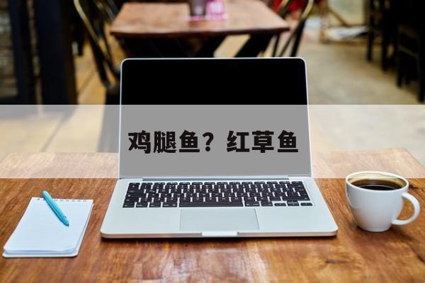 鸡腿鱼？红草鱼-第1张图片-