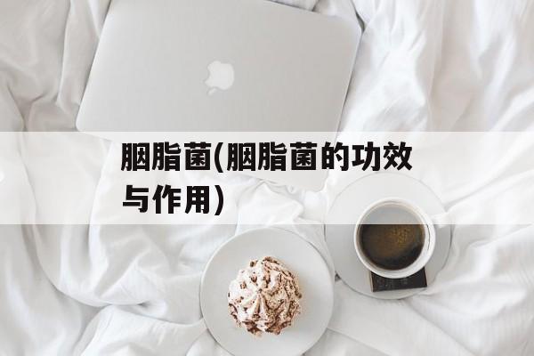 胭脂菌(胭脂菌的功效与作用)-第1张图片-