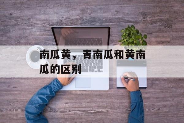 南瓜黄，青南瓜和黄南瓜的区别-第1张图片-