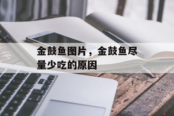 金鼓鱼图片，金鼓鱼尽量少吃的原因-第1张图片-
