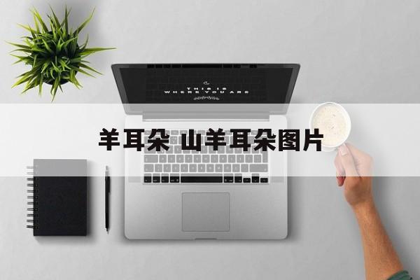 羊耳朵 山羊耳朵图片-第1张图片-