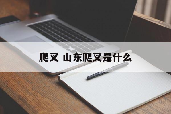 爬叉 山东爬叉是什么-第1张图片-